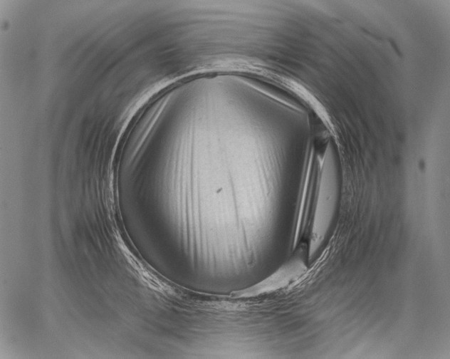 X0000060550996200511241221