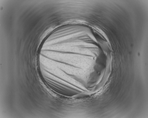 X0000060550997200511241221