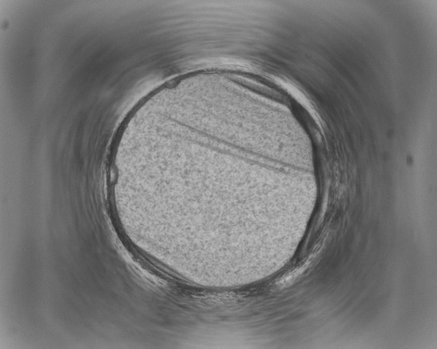 X0000060550999200511241221