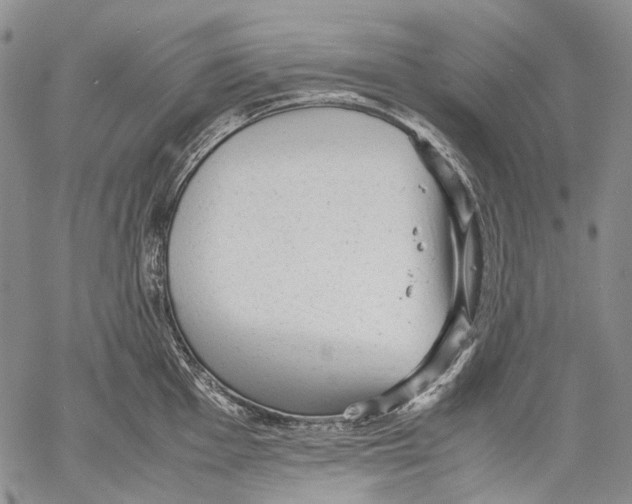 X0000060551001200511241220