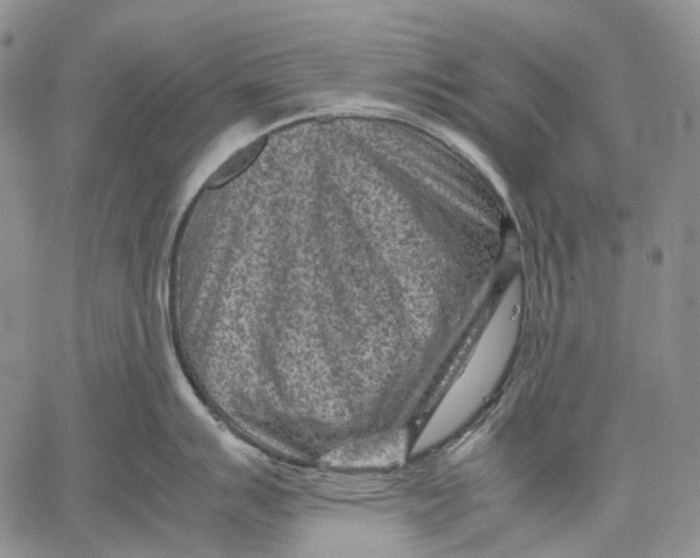 X0000060551007200511241220