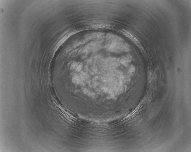 X0000060551023200511241220