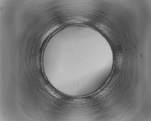 X0000060551026200511241220