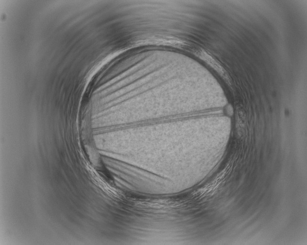 X0000060551028200511241220