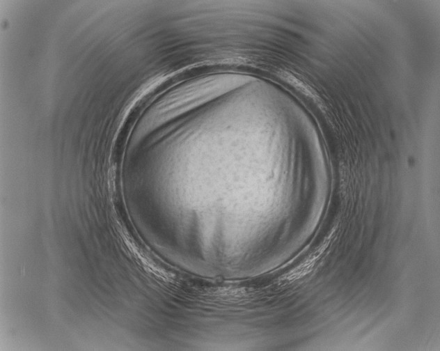 X0000060551029200511241220