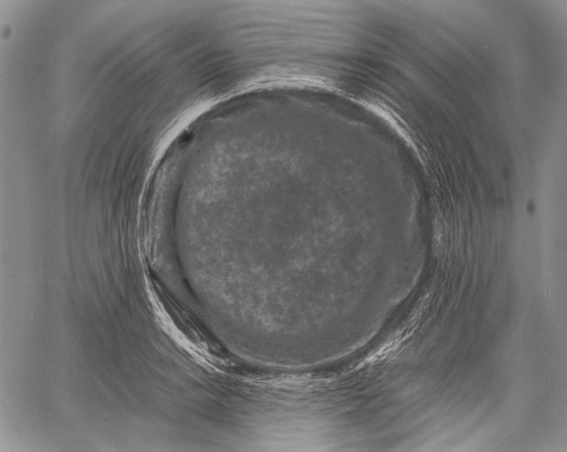 X0000060551038200511241220