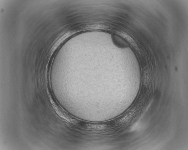 X0000060551039200511241220