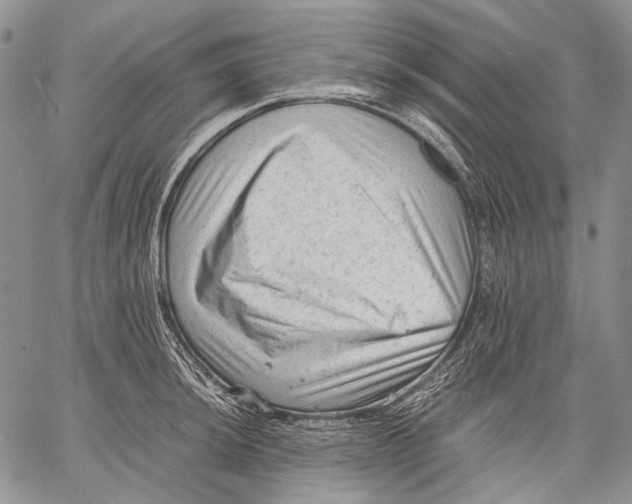 X0000060551044200511241220