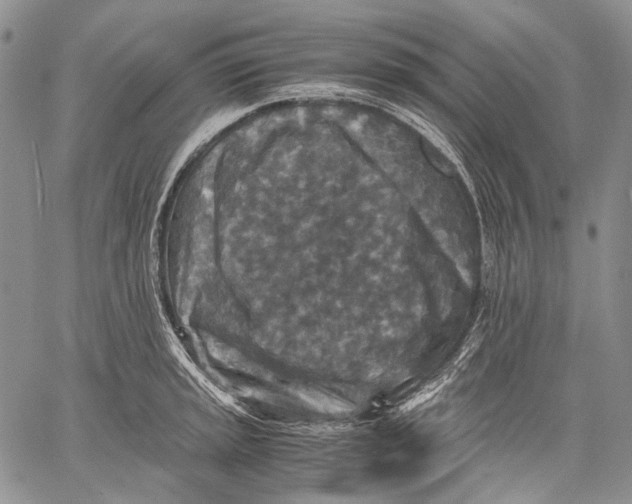 X0000060551045200511241220