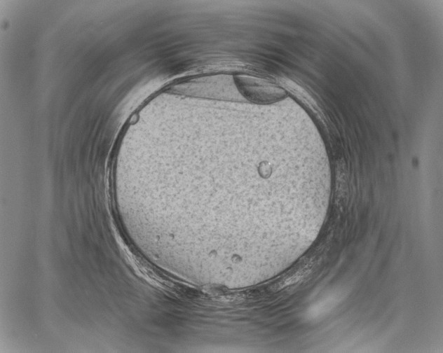 X0000060551047200511241220