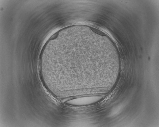 X0000060551048200511241220