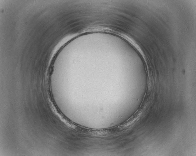 X0000060551053200511241220