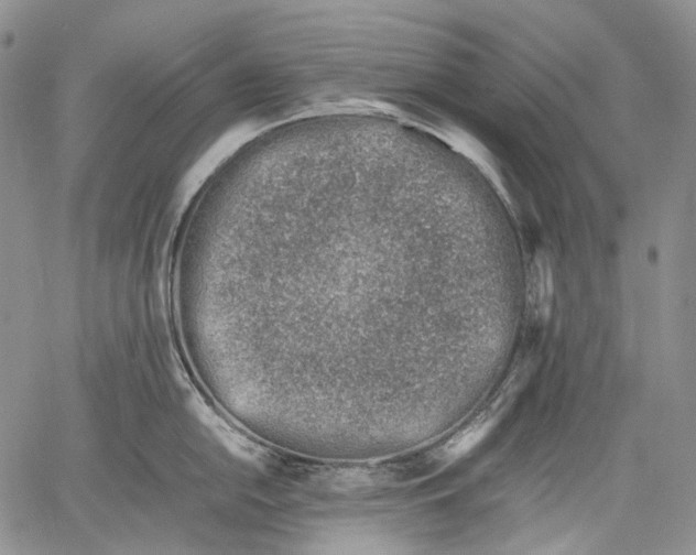 X0000060551054200511241220