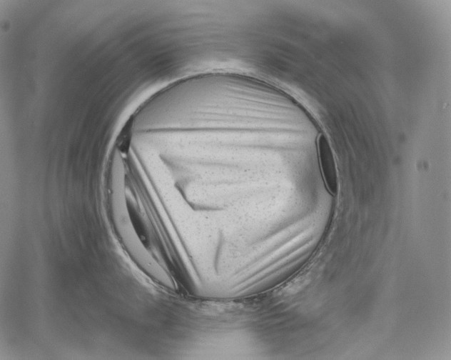 X0000060551056200511241220