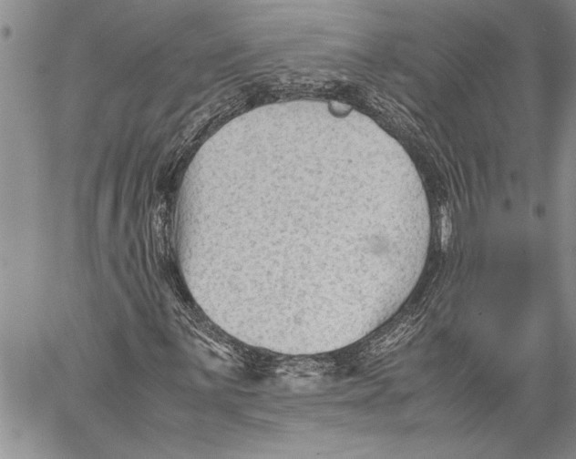 X0000060551059200511241220