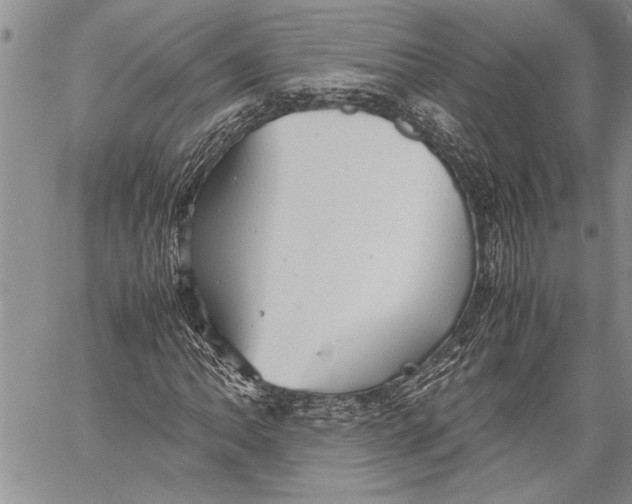 X0000060551062200511241219