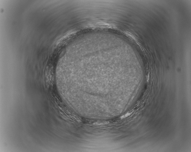 X0000060551063200511241219