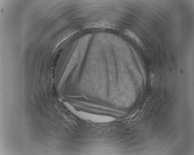 X0000060551064200511241219