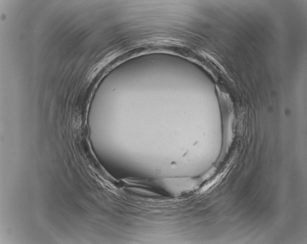 X0000060551065200511241219