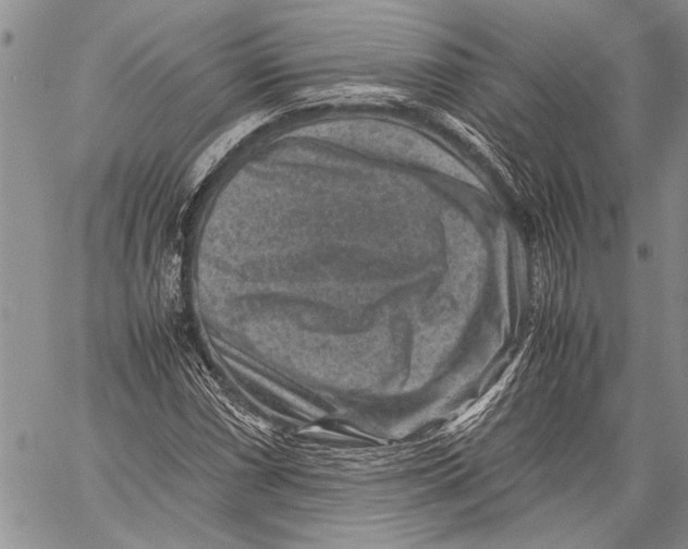 X0000060551066200511241219