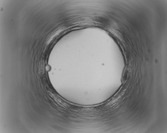 X0000060551067200511241219