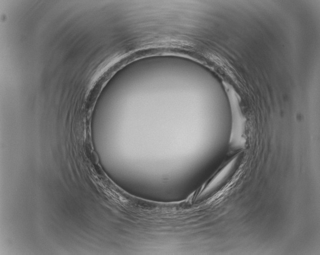 X0000060551069200511241219