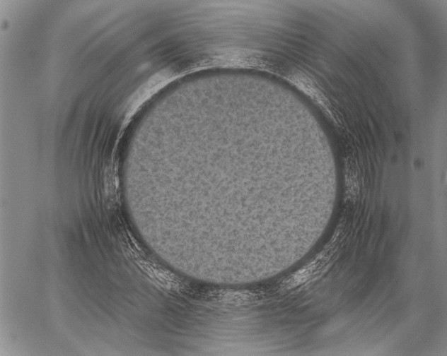 X0000060551070200511241219