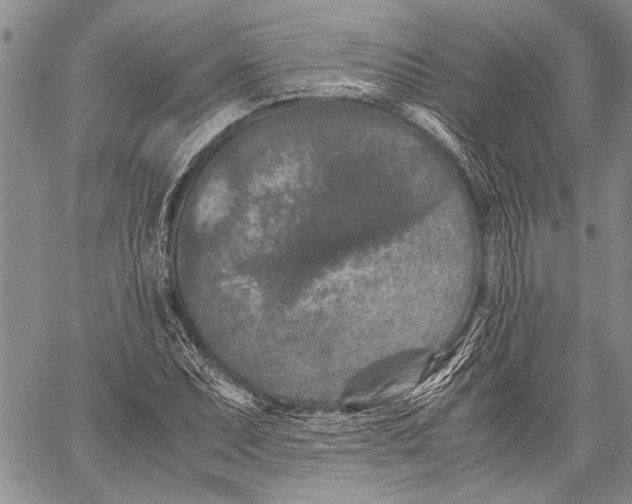 X0000060551071200511241219