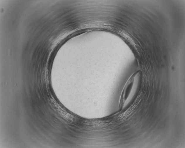 X0000060551072200511241219