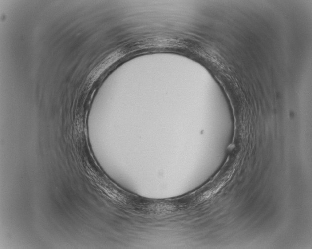 X0000060551073200511241219