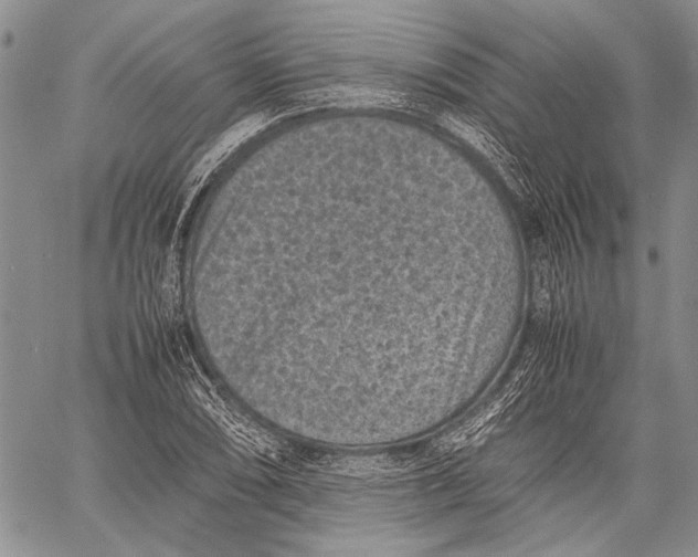 X0000060551074200511241219