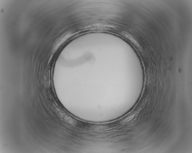 X0000060551075200511241219