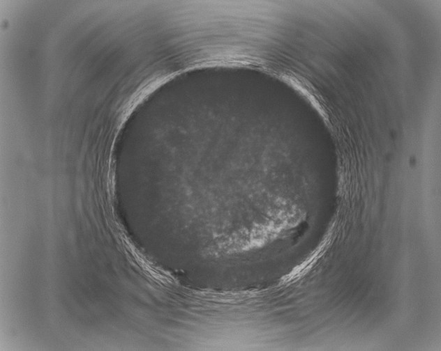 X0000060551077200511241219