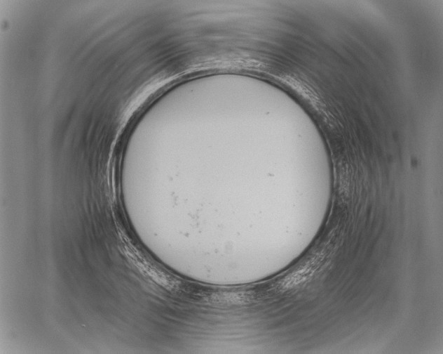 X0000060551078200511241219