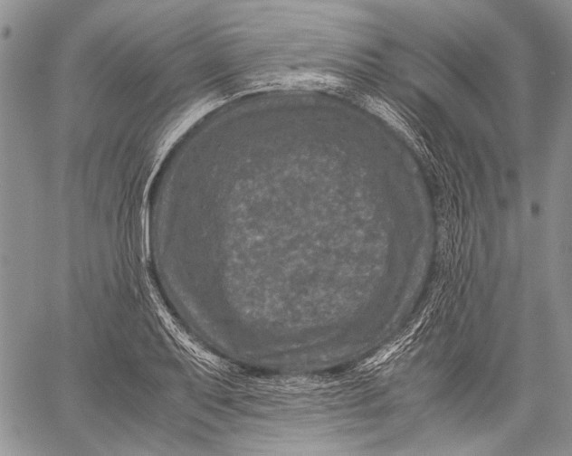 X0000060551079200511241219