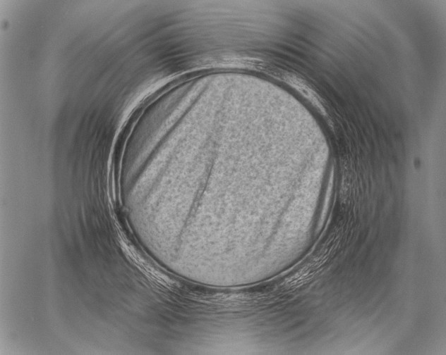 X0000060551080200511241219