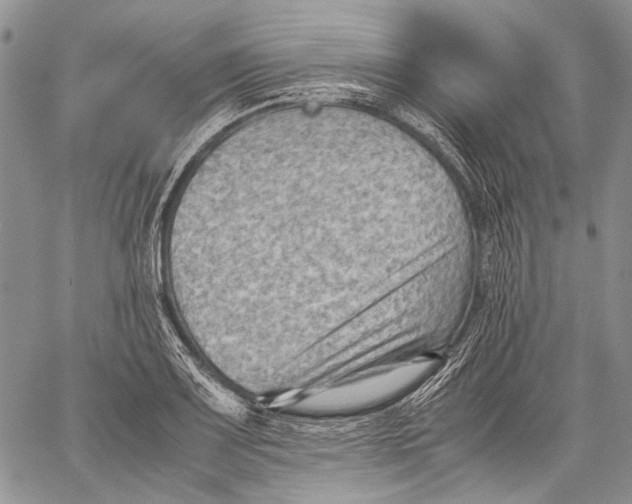 X0000060551083200511241219