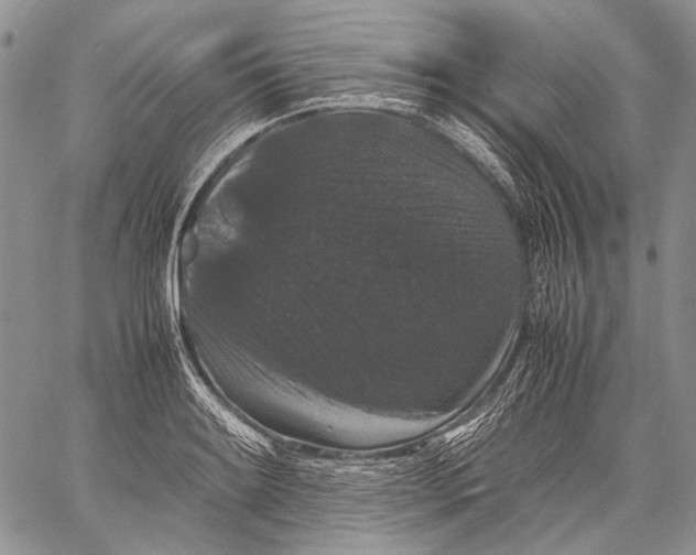 X0000060551084200511241219