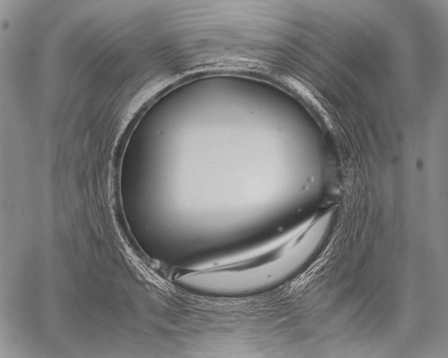 X0000060551085200511241219