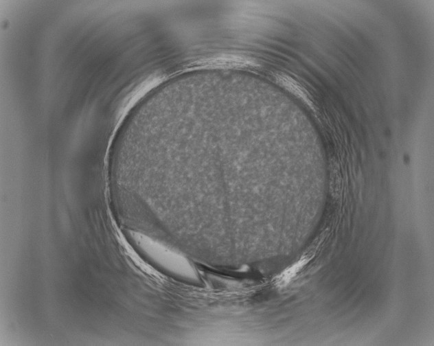 X0000060551087200511241219