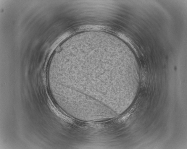 X0000060551090200511241219