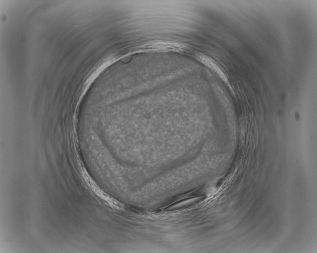 X0000060551091200511241219