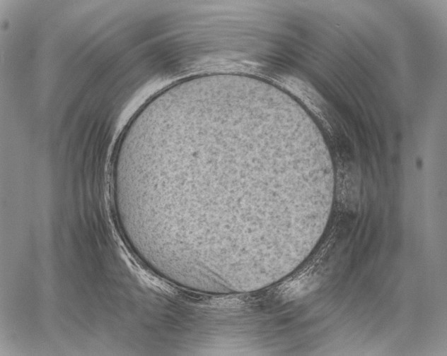 X0000060551094200511241219