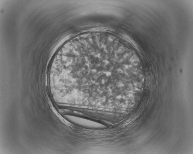 X0000060551095200511241219