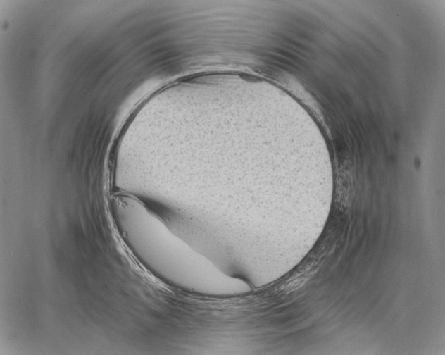 X0000060551096200511241219