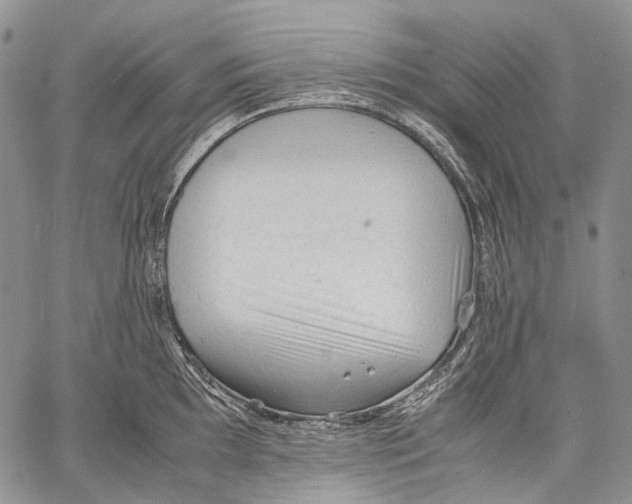 X0000060551097200511241219