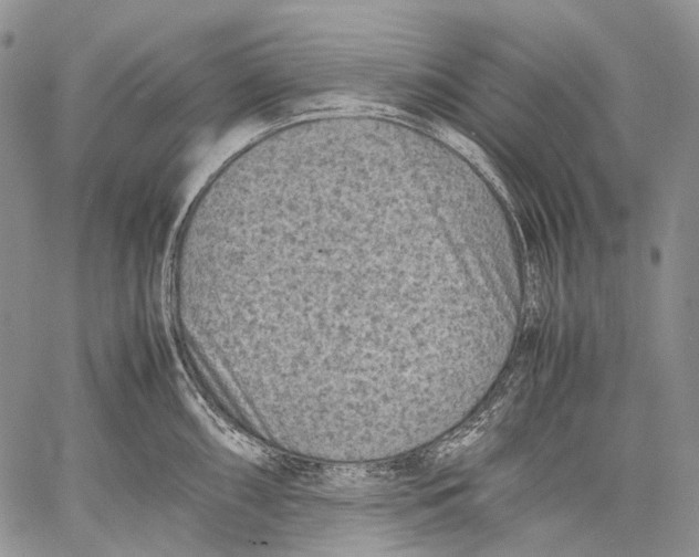 X0000060551098200511241219