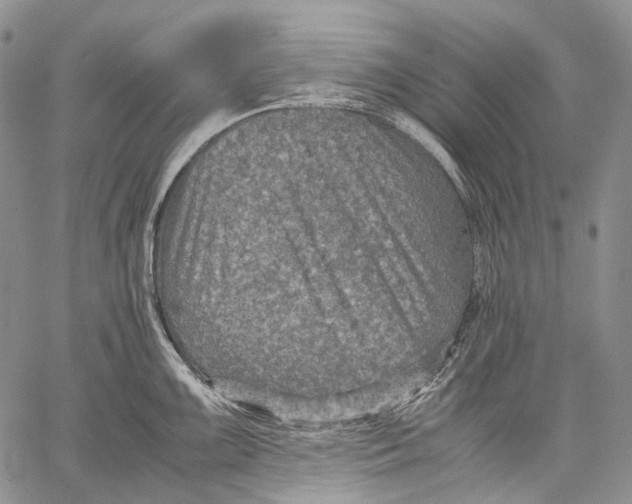 X0000060551099200511241219