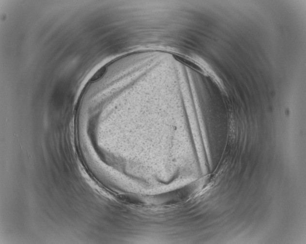 X0000060551100200511241219