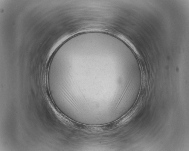 X0000060551101200511241219